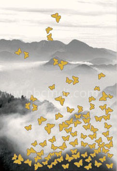 1561185988854223.jpg 1561185988854223.jpg