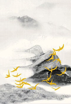 1561186007940717.jpg 1561186007940717.jpg